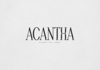 Acantha Font - Featured Image