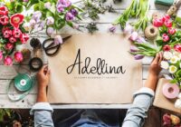 Adellina Font - Featured Image