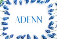 Adenn Font - Featured Image