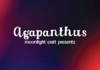 Agapanthus Font - Featured Image