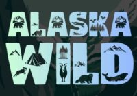 Alaska Wildlife Font - Featured Image