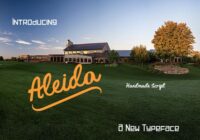 Aleida Font - Featured Image