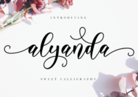 Alyanda Script Font - Featured Image