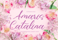 Amaris Catalina Font - Featured Image