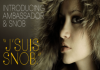 Ambassador Font - Featured Image