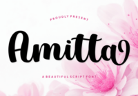 Amitta Font - Featured Image