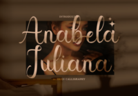 Anabela Juliana Font - Featured Image