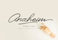 Anaheim Script Font - Featured Image