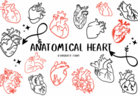 Anatomical Heart 1 Font - Featured Image