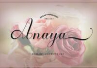 Anaya Font - Featured Image