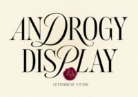 Androgy Display Font - Featured Image