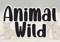 Animal Wild Font - Featured Image