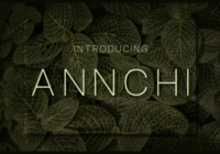 Annchi Font - Featured Image