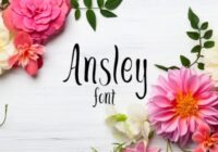 Ansley Font - Featured Image