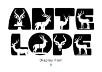 Antelope Font - Featured Image