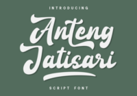 Anteng Jatisari Font - Featured Image