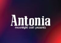 Antonia Font - Featured Image