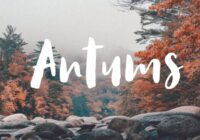 Antums Font - Featured Image