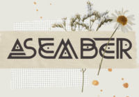 Asember Ligature Font - Featured Image