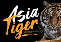 Asia Tiger Font - Featured Image