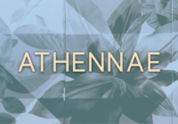 Athennae Font - Featured Image