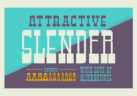 Attractive Slender Font - Featured Image