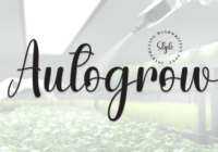 Autogrow Font - Featured Image