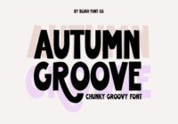 Autumn Groove Retro Font - Featured Image