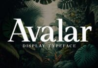 Avalar Font - Featured Image