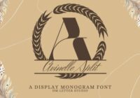 Avinelle Split Monogram Font - Featured Image