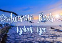 Awesome Birds Font - Featured Image