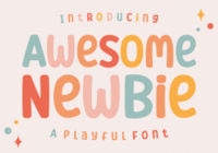 Awesome Newbie Font - Featured Image