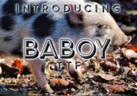 Baboy Font - Featured Image