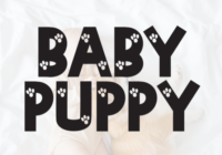 Baby Puppy Font - Featured Image