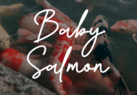 Baby Salmon Font - Featured Image