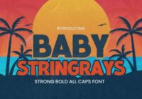 Baby Stringrays Font - Featured Image