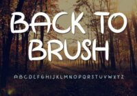 Back to Brush Font - Featured Image