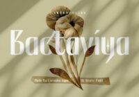 Bactaviya Font - Featured Image