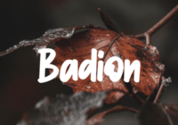 Badion Font - Featured Image