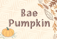 Bae Pumpkin Font - Featured Image