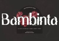 Bambinta Font - Featured Image
