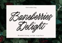 Baneberries Delight Font - Featured Image