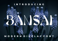 Bansai Font - Featured Image