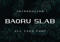 Baoru Slab Font - Featured Image