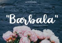 Barbala Font - Featured Image