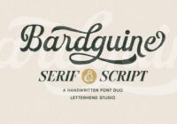 Bardguine Serif & Script Duo Font Font - Featured Image