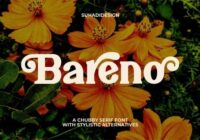 Bareno Font - Featured Image