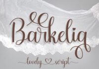 Barkelia Font - Featured Image