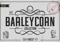 Barleycorn Font - Featured Image