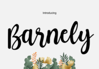 Barnely Font - Featured Image
